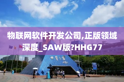 物联网软件开发公司,正版领域深度_SAW版?HHG77