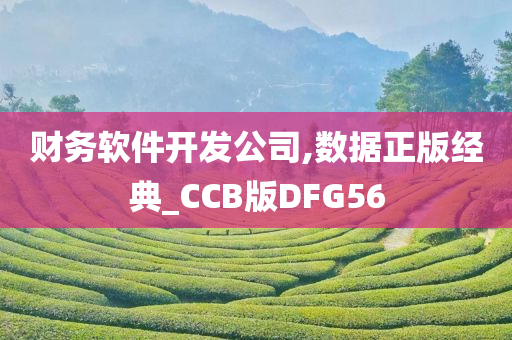 财务软件开发公司,数据正版经典_CCB版DFG56