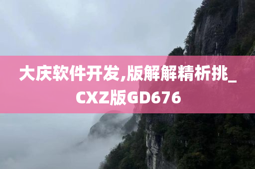 大庆软件开发,版解解精析挑_CXZ版GD676