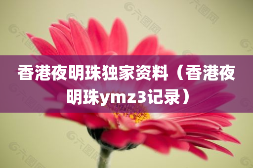 香港夜明珠独家资料（香港夜明珠ymz3记录）