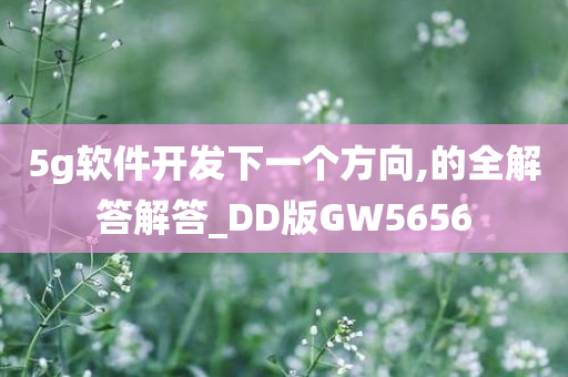 5g软件开发下一个方向,的全解答解答_DD版GW5656