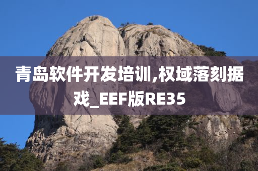 青岛软件开发培训,权域落刻据戏_EEF版RE35