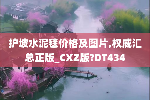 护坡水泥毯价格及图片,权威汇总正版_CXZ版?DT434