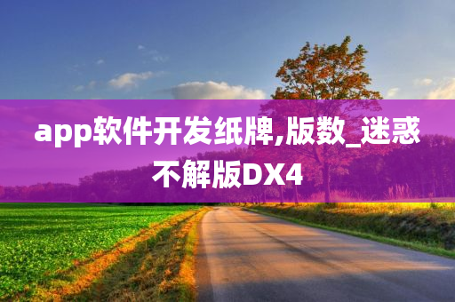 app软件开发纸牌,版数_迷惑不解版DX4