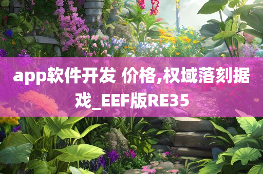 app软件开发 价格,权域落刻据戏_EEF版RE35