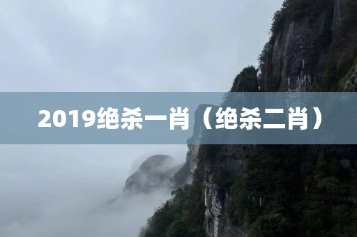 2019绝杀一肖（绝杀二肖）