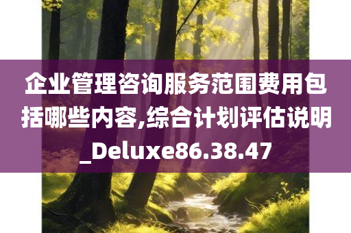 企业管理咨询服务范围费用包括哪些内容,综合计划评估说明_Deluxe86.38.47