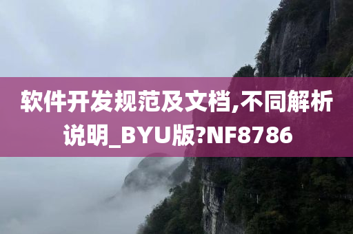 软件开发规范及文档,不同解析说明_BYU版?NF8786