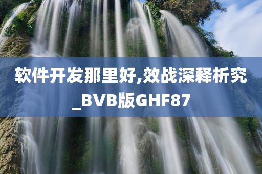 软件开发那里好,效战深释析究_BVB版GHF87