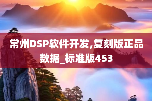 常州DSP软件开发,复刻版正品数据_标准版453