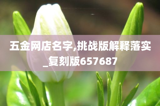 五金网店名字,挑战版解释落实_复刻版657687