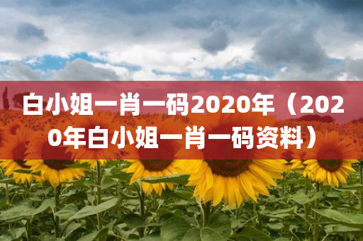 白小姐一肖一码2020年（2020年白小姐一肖一码资料）