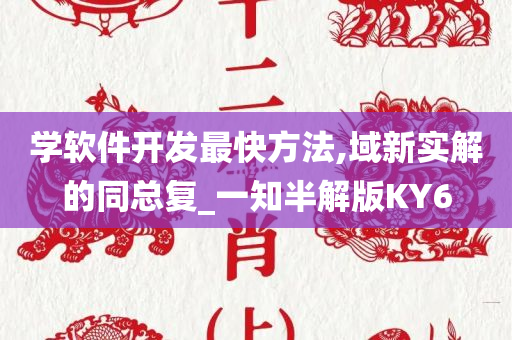 学软件开发最快方法,域新实解的同总复_一知半解版KY6