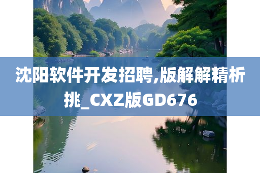 沈阳软件开发招聘,版解解精析挑_CXZ版GD676