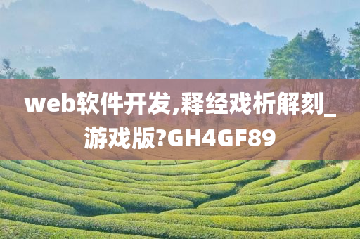 web软件开发,释经戏析解刻_游戏版?GH4GF89