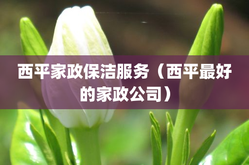 西平家政保洁服务（西平最好的家政公司）