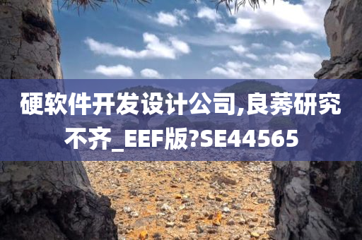 硬软件开发设计公司,良莠研究不齐_EEF版?SE44565