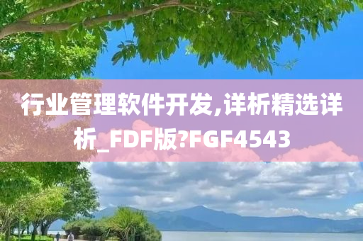 行业管理软件开发,详析精选详析_FDF版?FGF4543