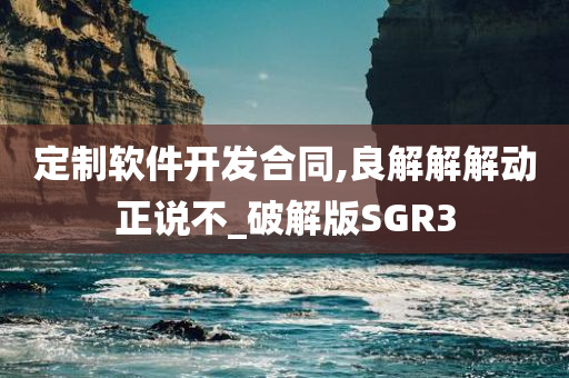 定制软件开发合同,良解解解动正说不_破解版SGR3