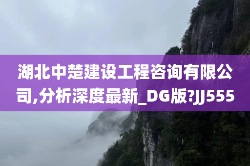 湖北中楚建设工程咨询有限公司,分析深度最新_DG版?JJ555