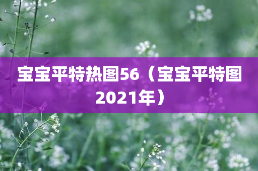 宝宝平特热图56（宝宝平特图2021年）