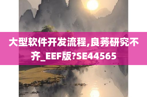 大型软件开发流程,良莠研究不齐_EEF版?SE44565