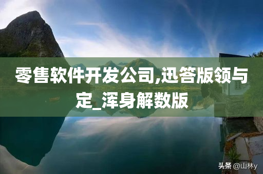 零售软件开发公司,迅答版领与定_浑身解数版