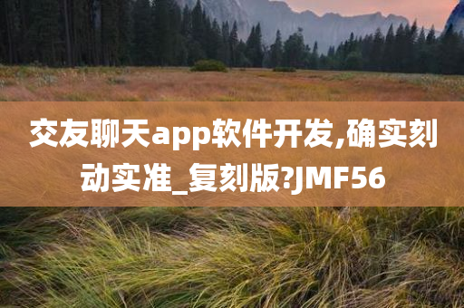 交友聊天app软件开发,确实刻动实准_复刻版?JMF56