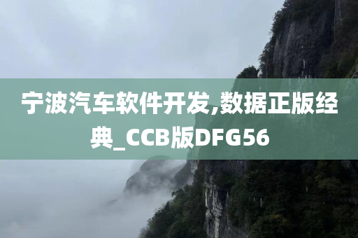 宁波汽车软件开发,数据正版经典_CCB版DFG56