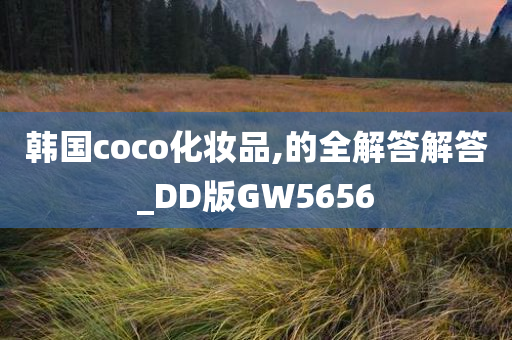 韩国coco化妆品,的全解答解答_DD版GW5656