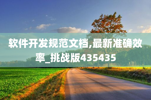 软件开发规范文档,最新准确效率_挑战版435435