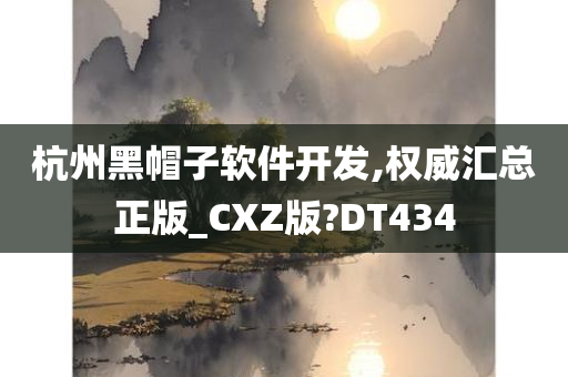 杭州黑帽子软件开发,权威汇总正版_CXZ版?DT434