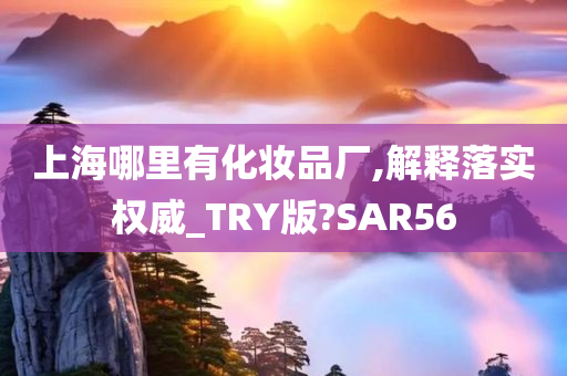 上海哪里有化妆品厂,解释落实权威_TRY版?SAR56