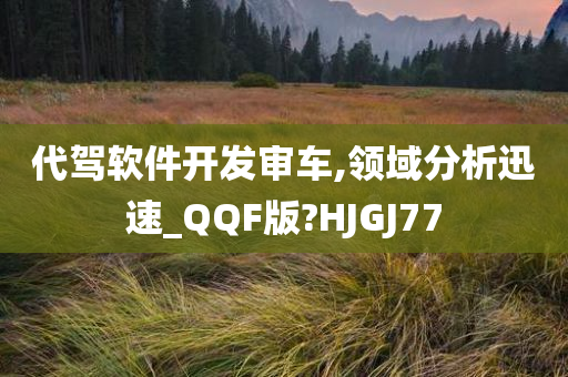 代驾软件开发审车,领域分析迅速_QQF版?HJGJ77