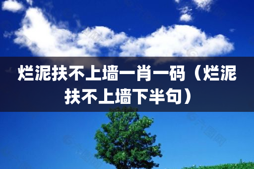 烂泥扶不上墙一肖一码（烂泥扶不上墙下半句）