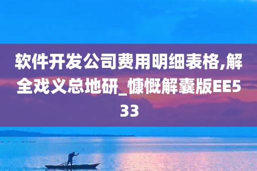 软件开发公司费用明细表格,解全戏义总地研_慷慨解囊版EE533