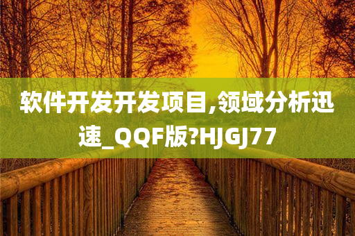 软件开发开发项目,领域分析迅速_QQF版?HJGJ77