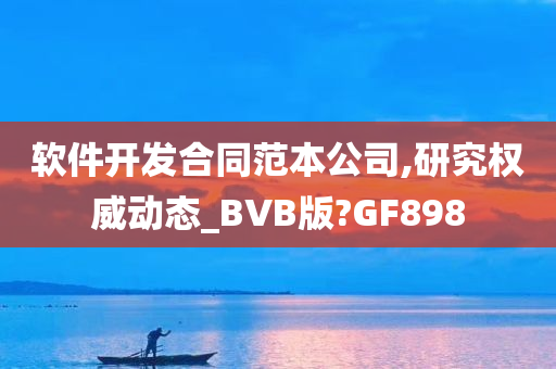 软件开发合同范本公司,研究权威动态_BVB版?GF898