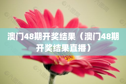 澳门48期开奖结果（澳门48期开奖结果直播）