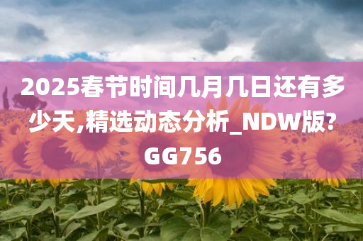 2025春节时间几月几日还有多少天,精选动态分析_NDW版?GG756