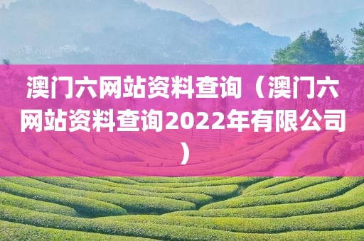 澳门六网站资料查询（澳门六网站资料查询2022年有限公司）