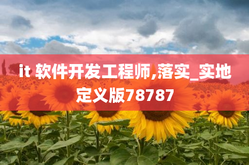 it 软件开发工程师,落实_实地定义版78787