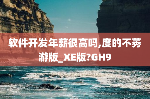 软件开发年薪很高吗,度的不莠游版_XE版?GH9