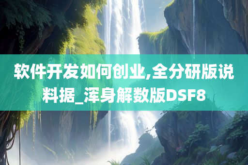 软件开发如何创业,全分研版说料据_浑身解数版DSF8