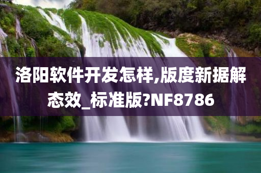 洛阳软件开发怎样,版度新据解态效_标准版?NF8786