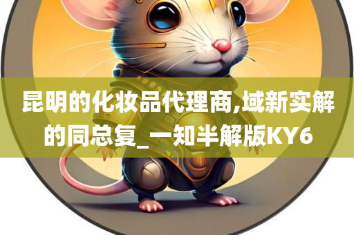 昆明的化妆品代理商,域新实解的同总复_一知半解版KY6