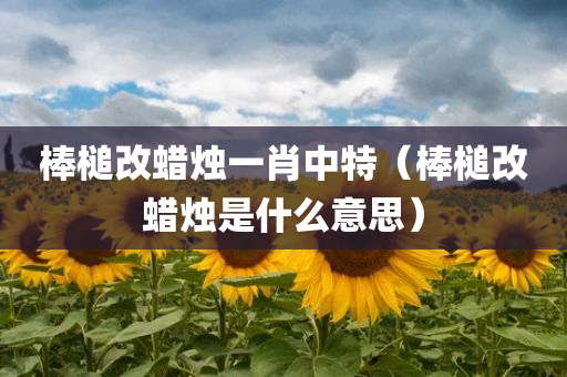 棒槌改蜡烛一肖中特（棒槌改蜡烛是什么意思）