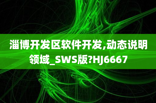 淄博开发区软件开发,动态说明领域_SWS版?HJ6667