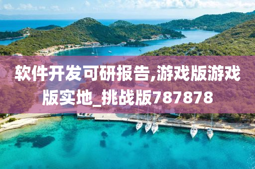 软件开发可研报告,游戏版游戏版实地_挑战版787878