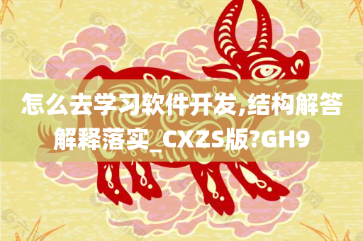 怎么去学习软件开发,结构解答解释落实_CXZS版?GH9